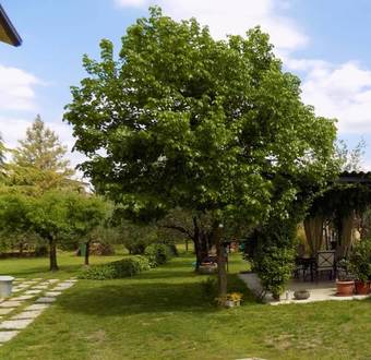 Bed & Breakfast Due Archi