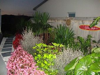 Stunning Views Bed And Breakfast