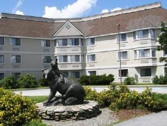 Hotel Black Bear Inn