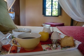 Agroturismo Agriturismo Fattoria La Prugnola