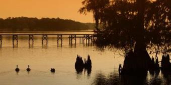 Hotel Hampton Inn & Suites Jennings