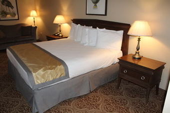 Hotel Greenville Inn & Suites