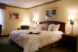 Hotel Hampton Inn Southport