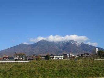 Bed & Breakfast Pension Field