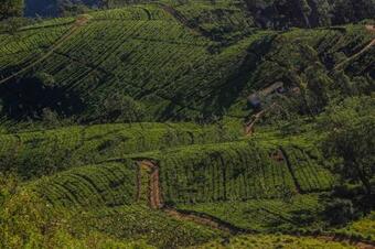 Agroturismo Hatale Mini World's End Bungalow