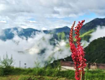 High Mountain Trekking Camp