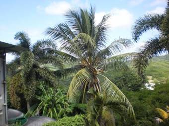 Bed And Breakfast Riviere