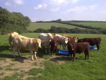 Bed & Breakfast The Barn At Collacott