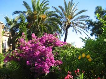 Finca Raims Hotel Interior