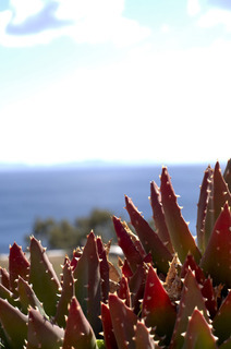 Apartamento Patmos Studios