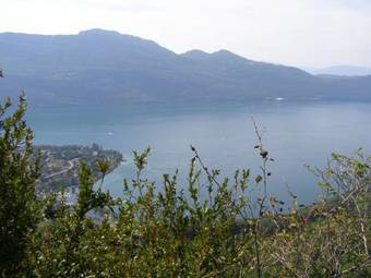 Hotel Marina D'adelphia