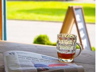 Posada The Dabbling Duck