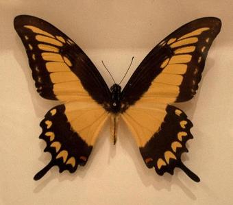 Veeve - Two Bedroom Apartment St Charles Square - Notting Hill