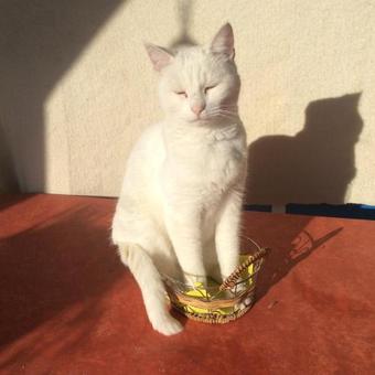 Bed & Breakfast Le Pr� Joly