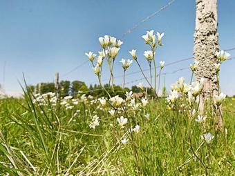 Five-bedroom Holiday Home In Mellerud