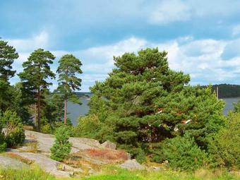 Two-bedroom Holiday Home In Tanumshede