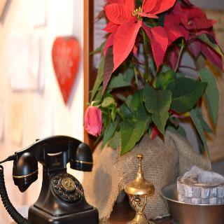 Hotel Villa Belvedere