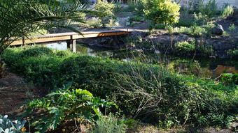 Hostal Cunningham Cottage Guest House