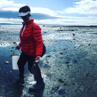 Posada Wildberry Country Lodge B&B