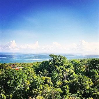 Albergue Hotbox Traveller's Joint Jamaica