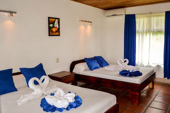 Hotel Termales Del Bosque