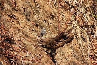 Hotel Arenas Punta Leona