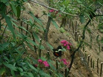 Hotel La Villa De Los Dioses