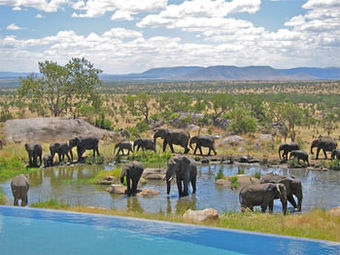Hotel Four Seasons Safari Lodge Serengeti