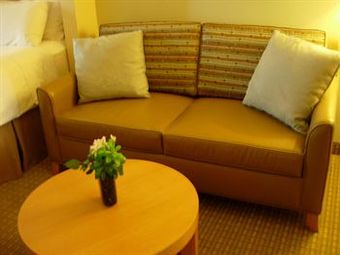 Holiday Inn Express Hotel &suites Santa Clara-silicon Valley