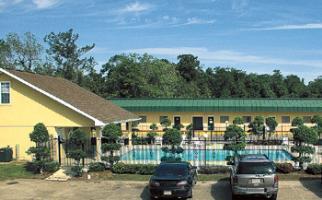 Hotel Best Western Forest Inn