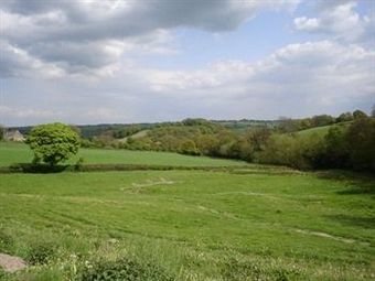 Hotel Park Farm - Bed & Breakfast