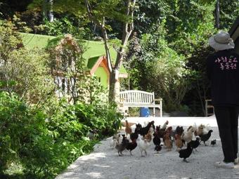 Hotel Kensington Resort Cheongpyeong