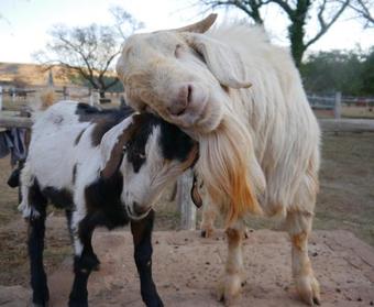 Agroturismo Lydenrust Guest Farm