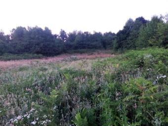 Agroturismo Apartments Eco Forest Resort