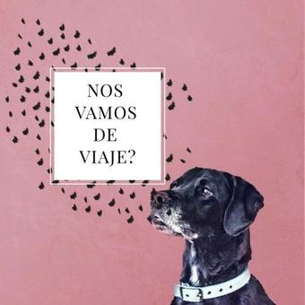 Apartamentos Alto As�n