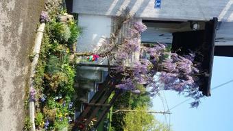 Apartment Grgic