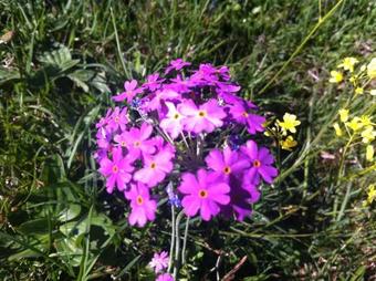 Apartamento Appartement Krepper