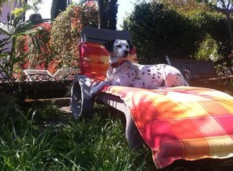 Bed & Breakfast Corte Garberia