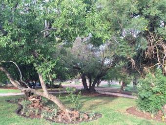 Dzata Private Game Lodge