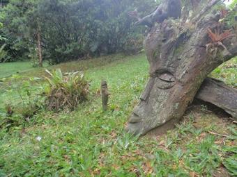 Hostal Pousada Cabanas Do Curupira