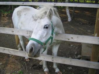 Lodge Nakasatsunai Feriendorf