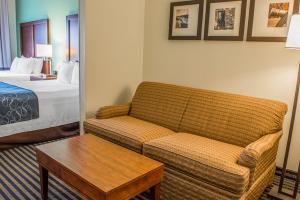 Hotel Comfort Suites (leesburg)