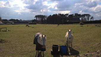 Mobilhome Plouguerneau