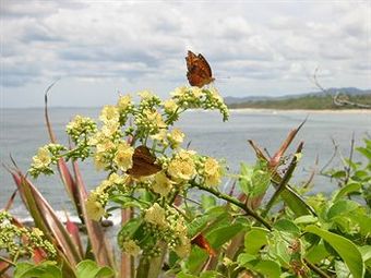Hotel Punta Teonoste