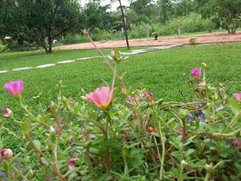 Miheen Hotel & Resort