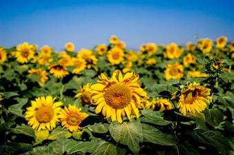 Agroturismo Galilee Best Location