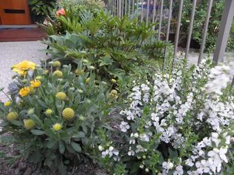 Bed & Breakfast Escapebnb