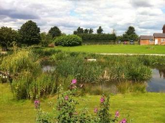 Agroturismo Skipbridge Farm Shepherds Hut