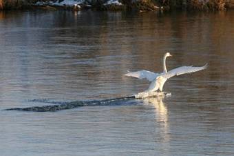 Edenmouth Holiday Cottages