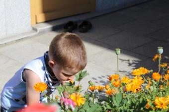 Apartamento Strickerhof G�ttl